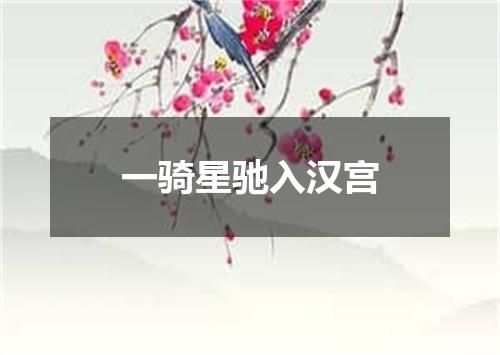 一骑星驰入汉宫