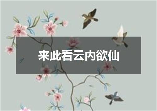 来此看云内欲仙