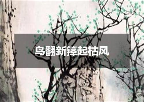鸟翻新箨起枯风