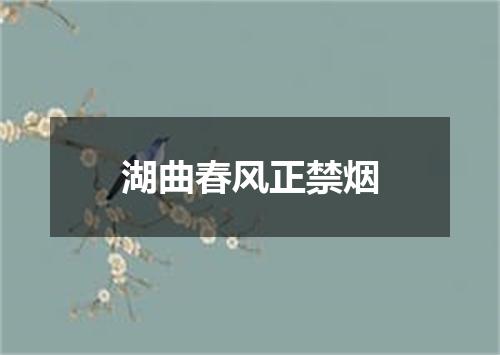 湖曲春风正禁烟