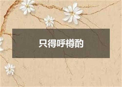 只得呼樽酌