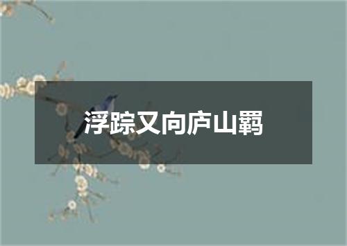 浮踪又向庐山羁