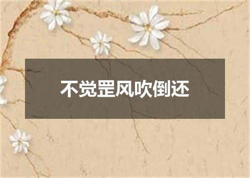 不觉罡风吹倒还