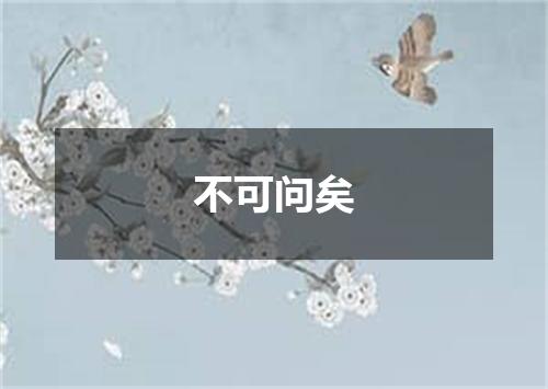 不可问矣