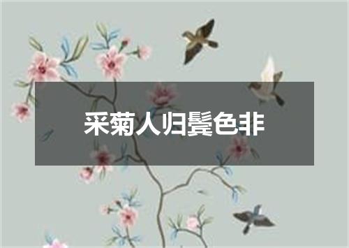 采菊人归鬓色非