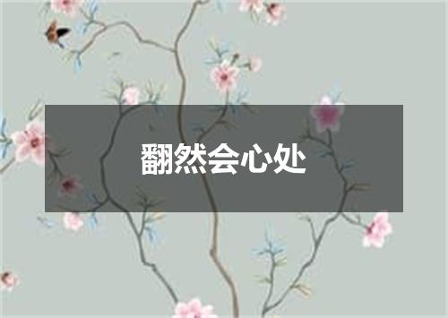 翻然会心处