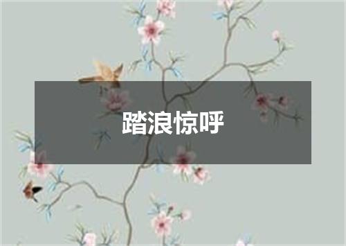 踏浪惊呼