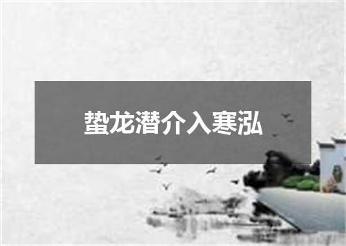 蛰龙潜介入寒泓