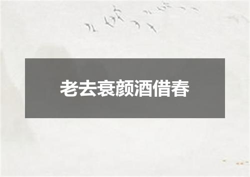 老去衰颜酒借春