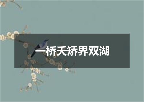 一桥夭矫界双湖