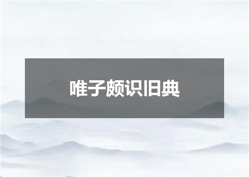 唯子颇识旧典