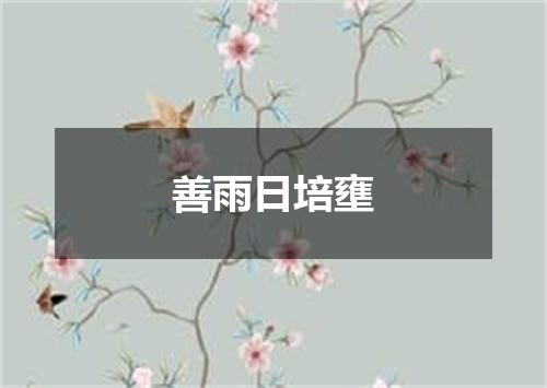 善雨日培壅