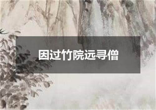 因过竹院远寻僧