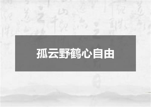 孤云野鹤心自由