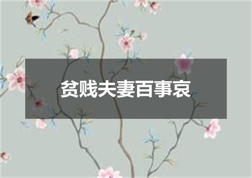 贫贱夫妻百事哀
