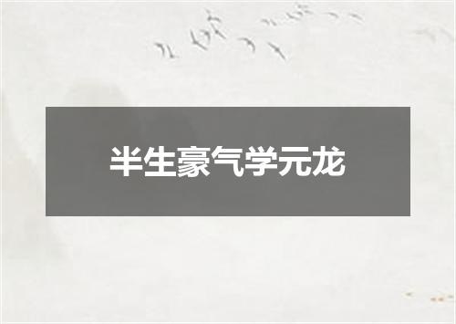 半生豪气学元龙