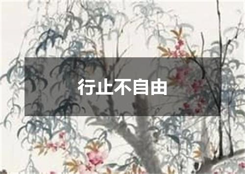 行止不自由