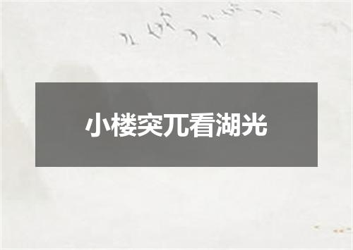 小楼突兀看湖光