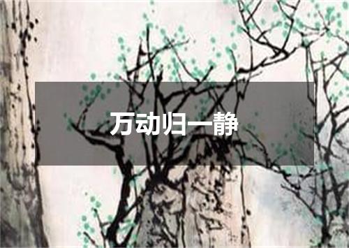 万动归一静