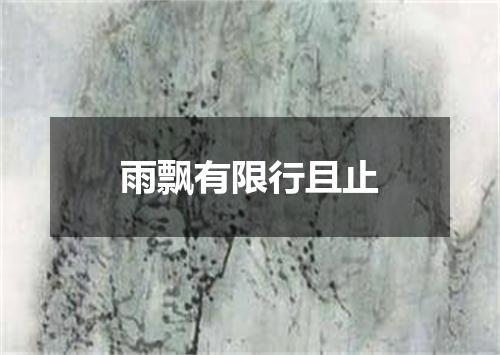 雨飘有限行且止