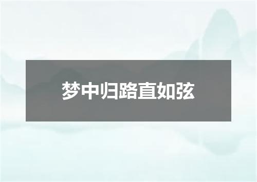 梦中归路直如弦