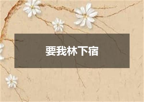 要我林下宿