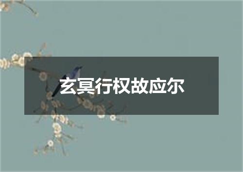玄冥行权故应尔