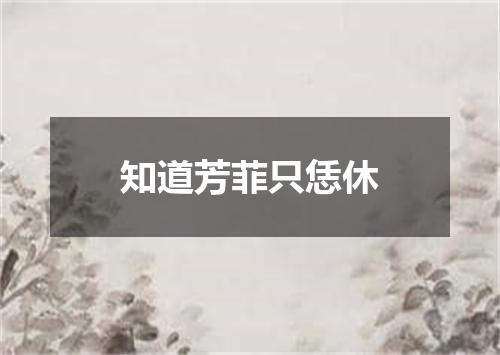 知道芳菲只恁休