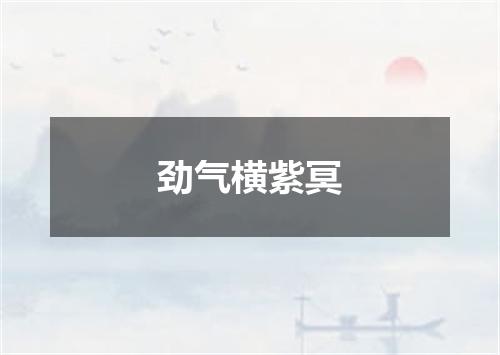 劲气横紫冥