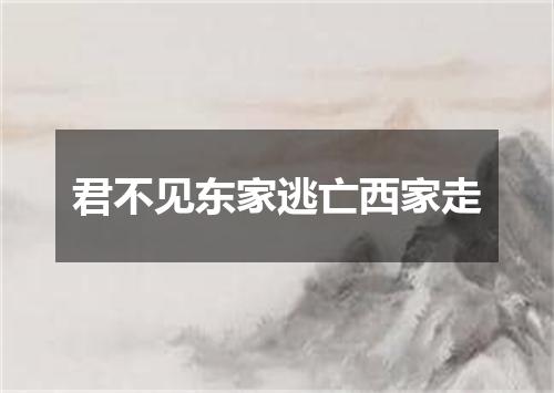 君不见东家逃亡西家走