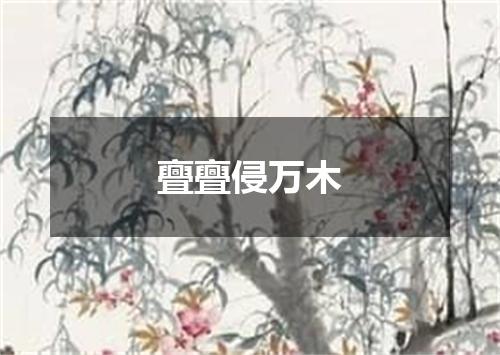 亹亹侵万木