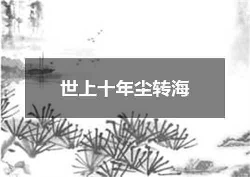 世上十年尘转海