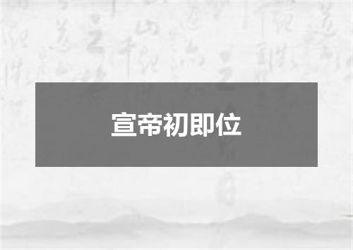 宣帝初即位