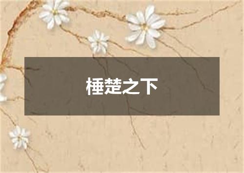 棰楚之下