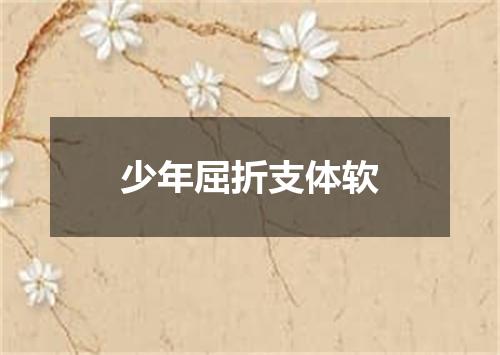 少年屈折支体软