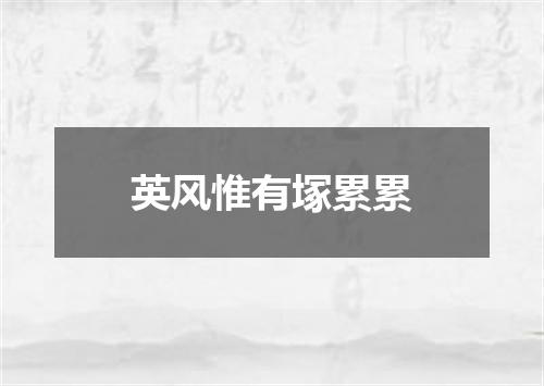 英风惟有塚累累