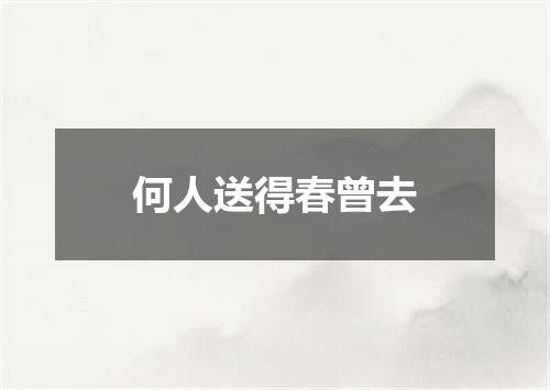 何人送得春曾去