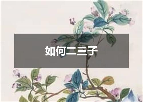 如何二三子