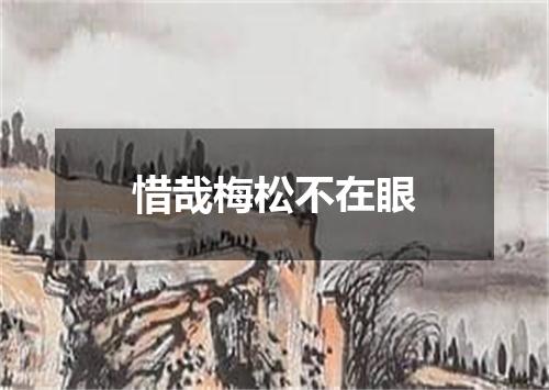 惜哉梅松不在眼