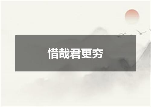 惜哉君更穷