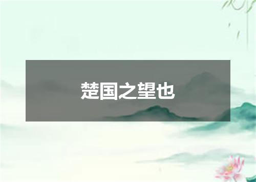 楚国之望也