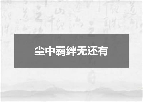 尘中羁绊无还有