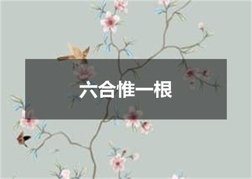六合惟一根