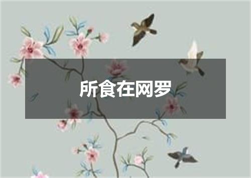 所食在网罗