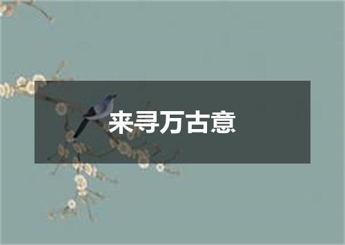 来寻万古意