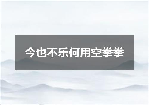 今也不乐何用空拳拳