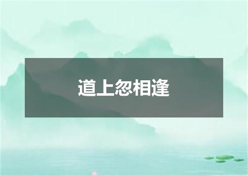 道上忽相逢