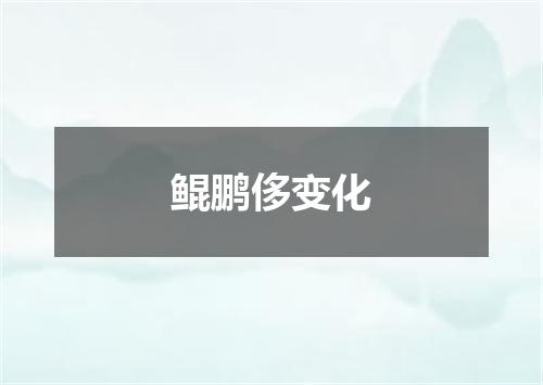 鲲鹏侈变化