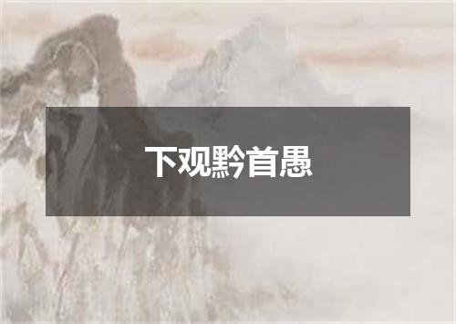 下观黔首愚