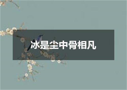 冰是尘中骨相凡